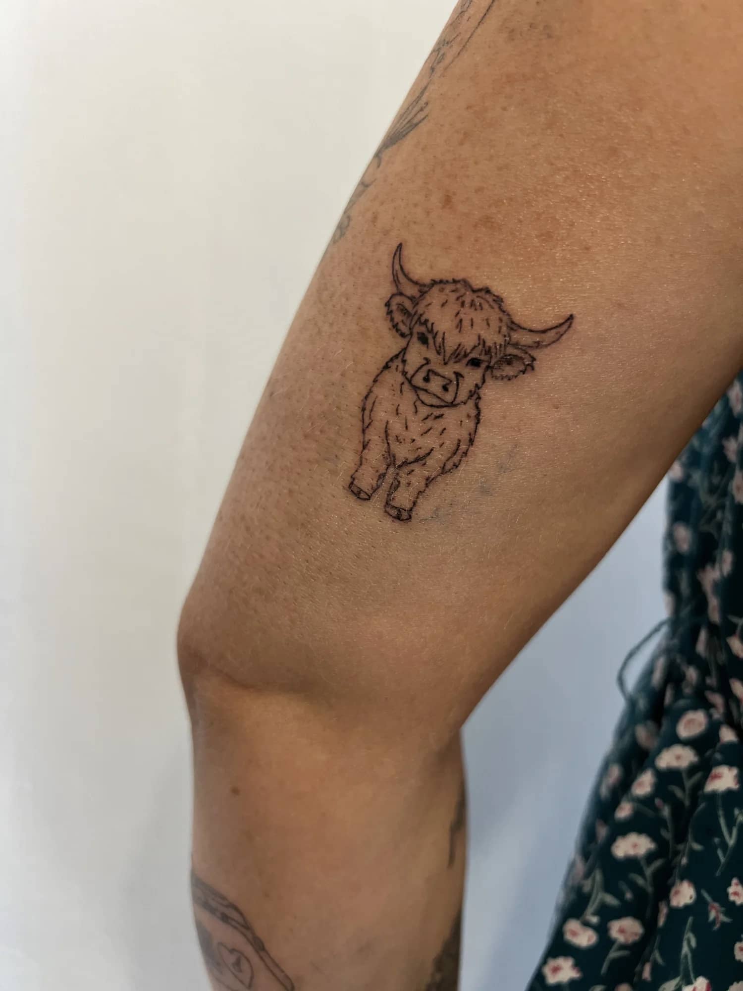 Small fine line Highland cow tattoo on the upper arm