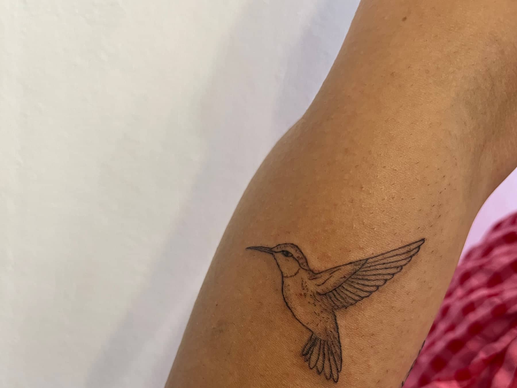 Fine line hummingbird tattoo by Imogen Nia